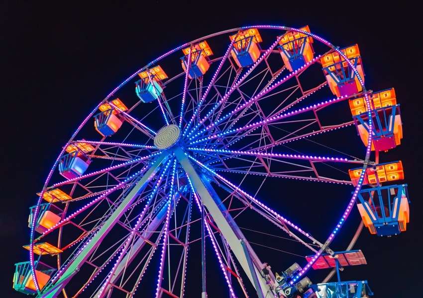 things to do in tampa bay