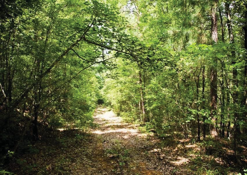 Cedar Ridge Preserve