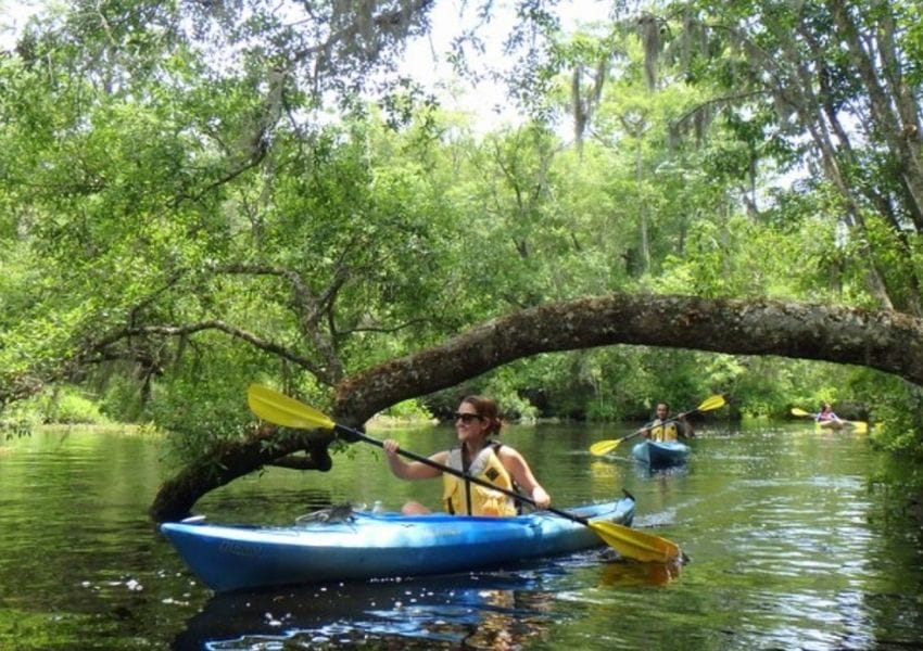 Kayaking and Boating in Jacksonville UNATION