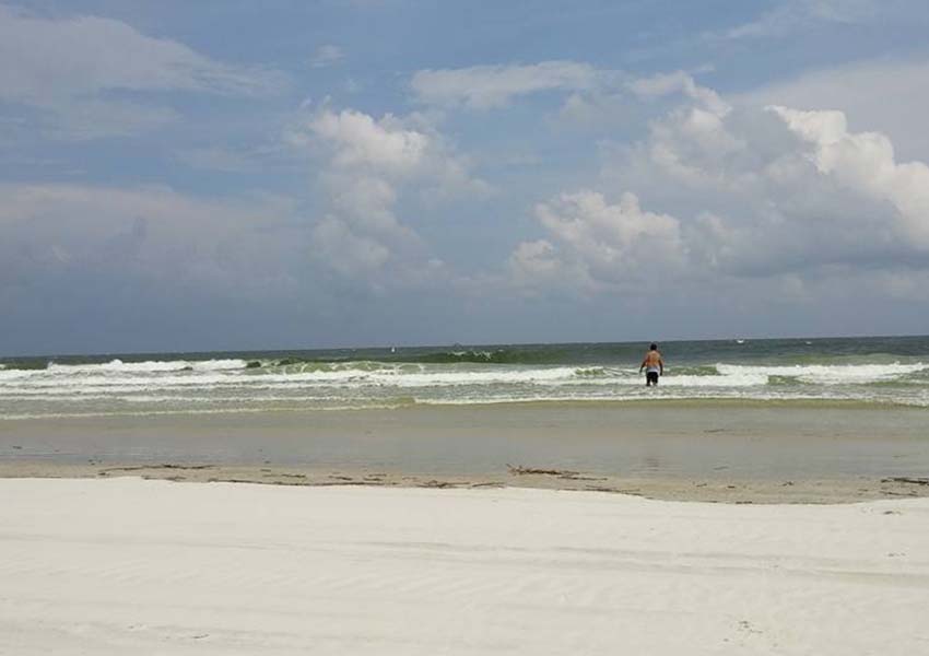 7 Must Visit Beaches in Jacksonville UNATION