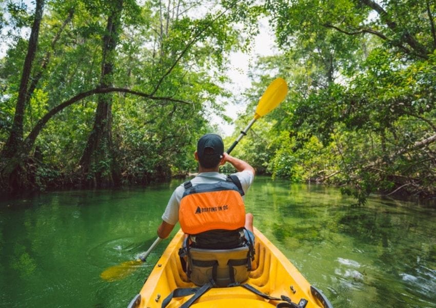 Kayaking - Spring in Tampa Bay