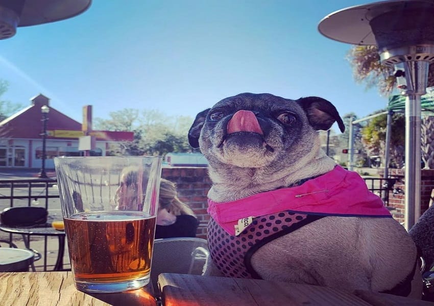 Nightlife in Riverside UNATION