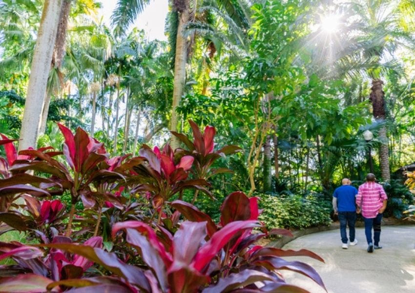 sunken gardens - spring date ideas in Tampa Bay 2