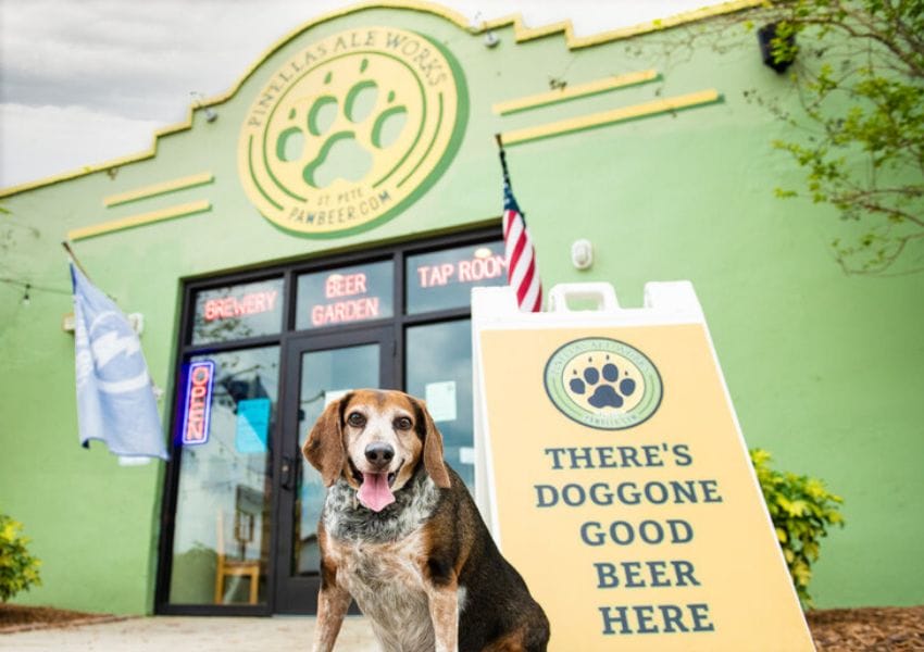 10+ Dog Friendly Restaurants Tampa Bay UNATION