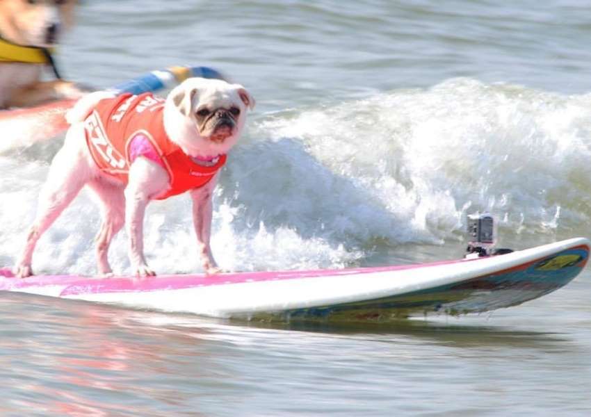 Beach Activities Near Houston We Love UNATION