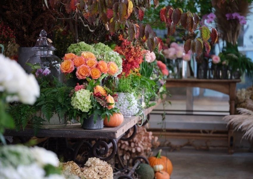 Best Dandy Floral Shops In Atlanta UNATION