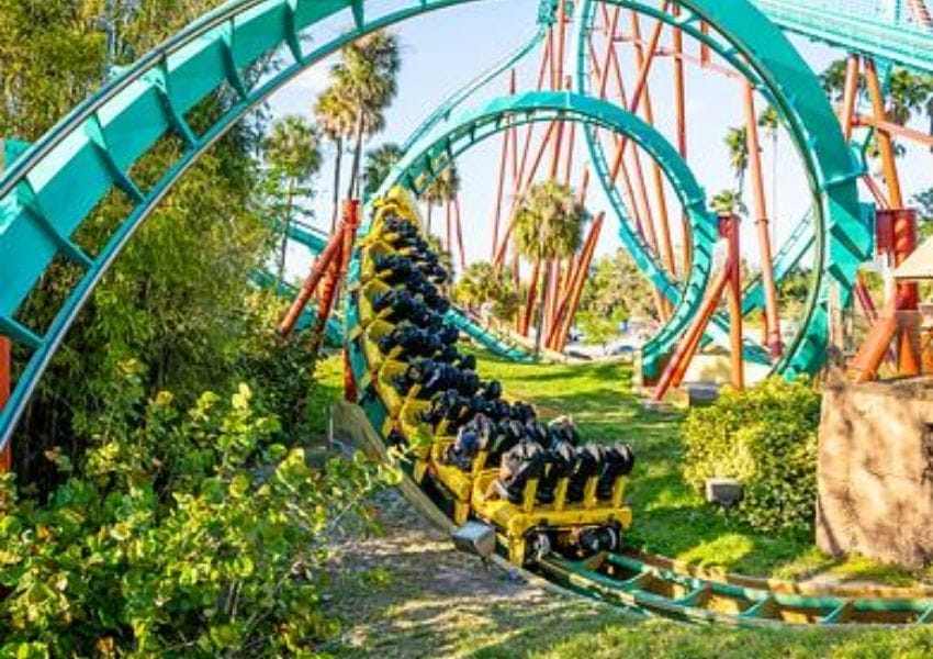 busch gardens fw