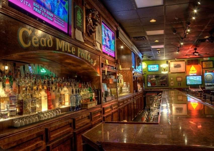 Pet-Friendly Spots in Downtown Tampa: Malony's Irish Pub, Dog-Friendly Restaurants