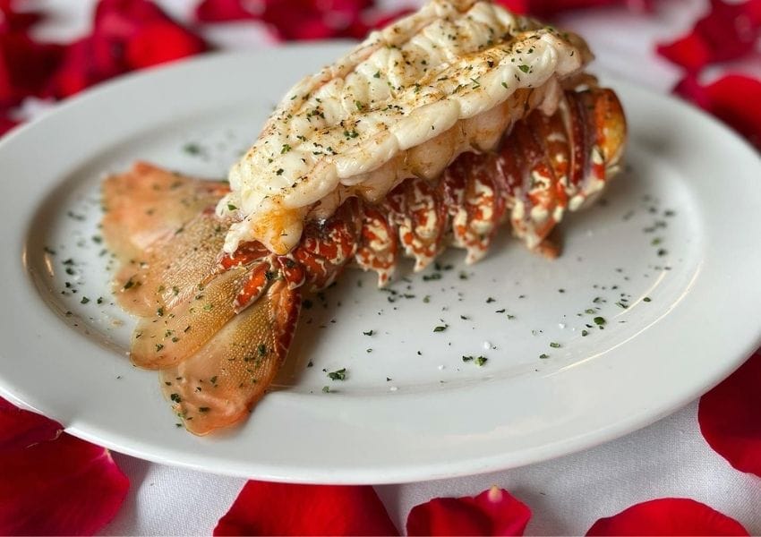 seafood restaurants in tampa bay