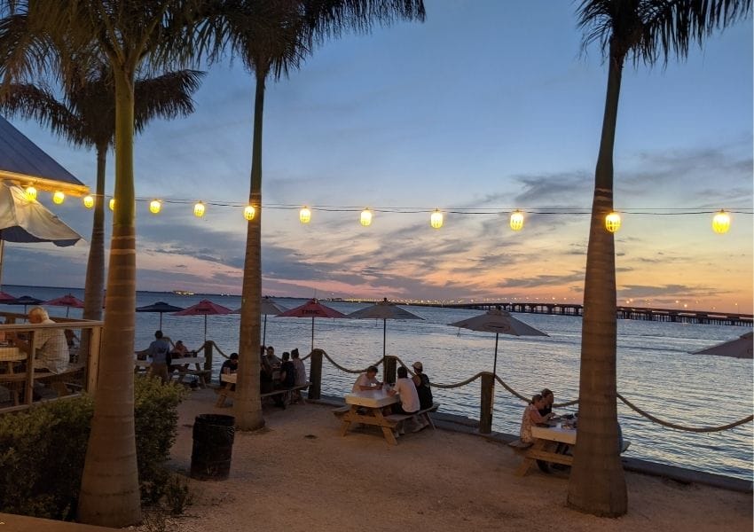 Seafood Restaurants in Tampa Bay