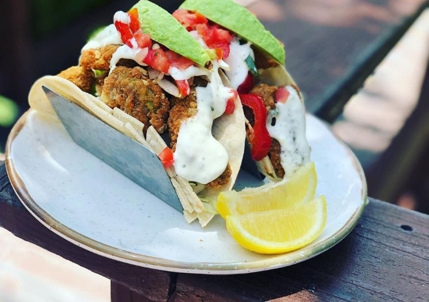 Seafood Restaurants in Tampa Bay