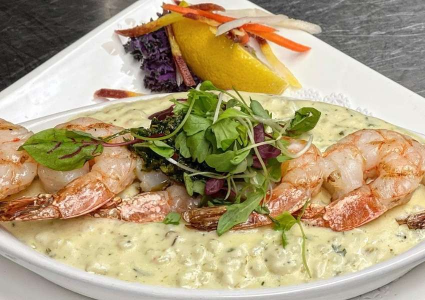 wine bars in tampa bay