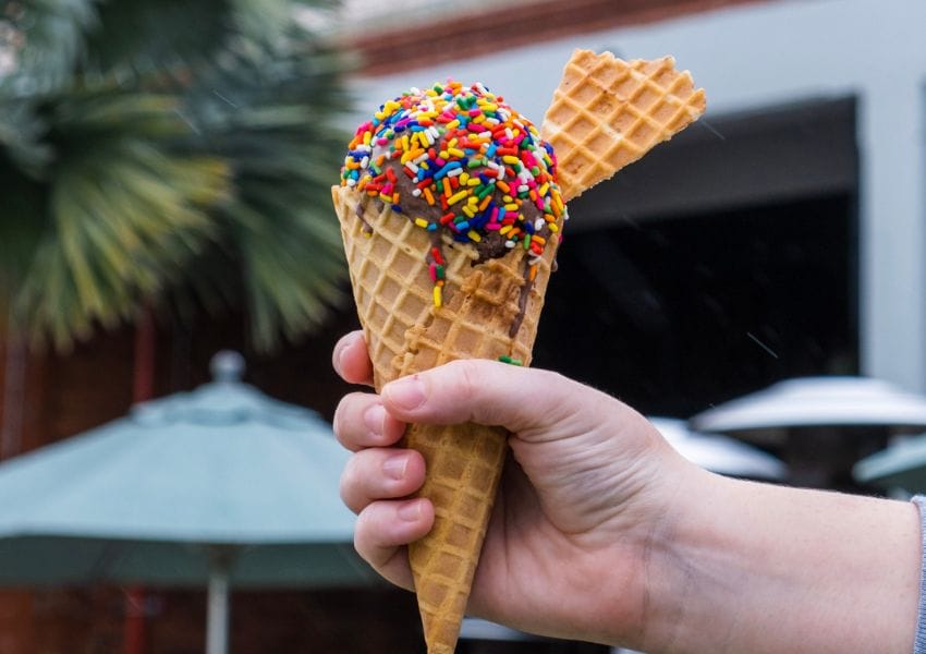 Try These 10+ Mouthwatering Ice Cream Tampa Bay!