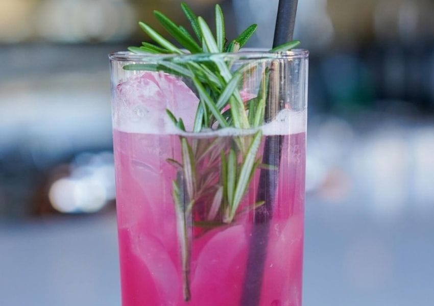 best Places to Grab a mocktail in Tampa Bay