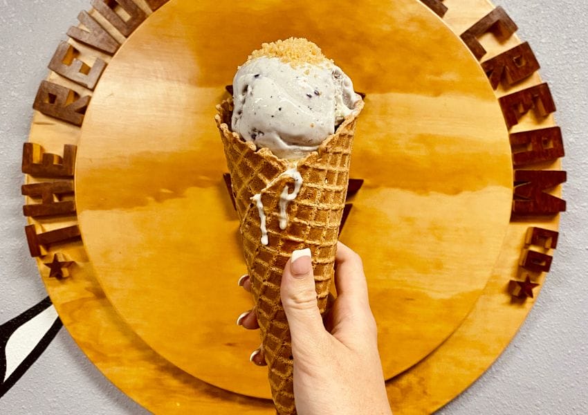 Try These 10+ Mouthwatering Ice Cream Tampa Bay!