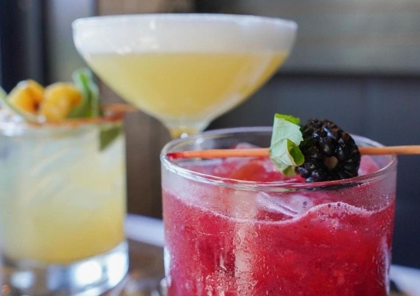 best Places to Grab a mocktail in Tampa Bay