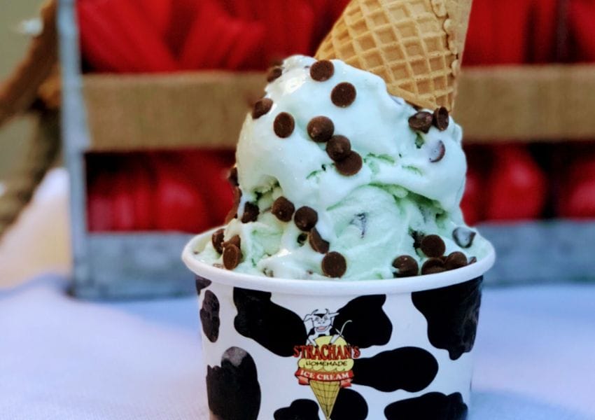 Chill Out This Summer at the Best Ice Cream Shops in Tampa