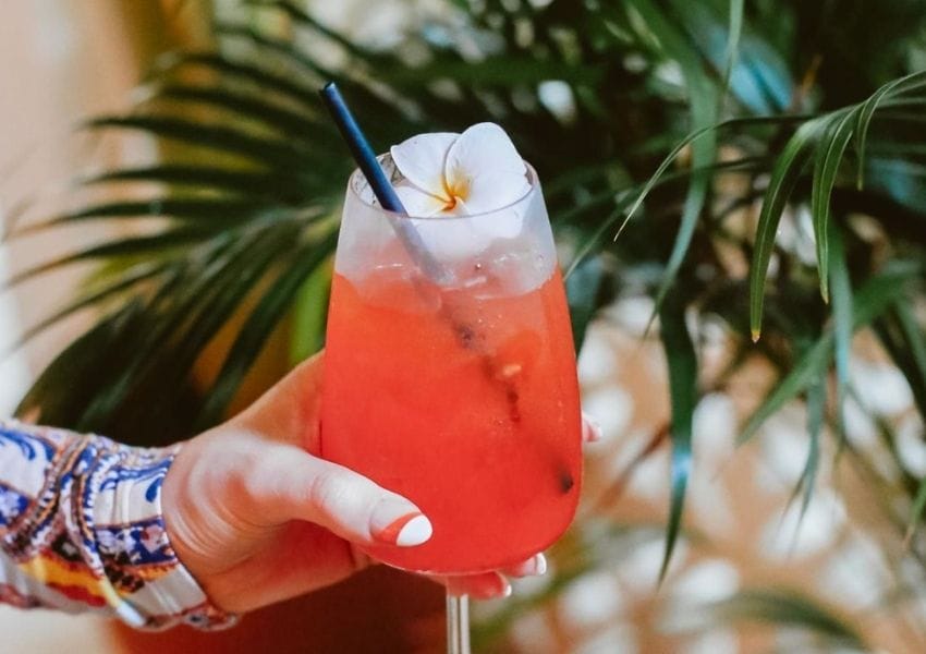 Spots to Visit This Summer in Tampa Bay