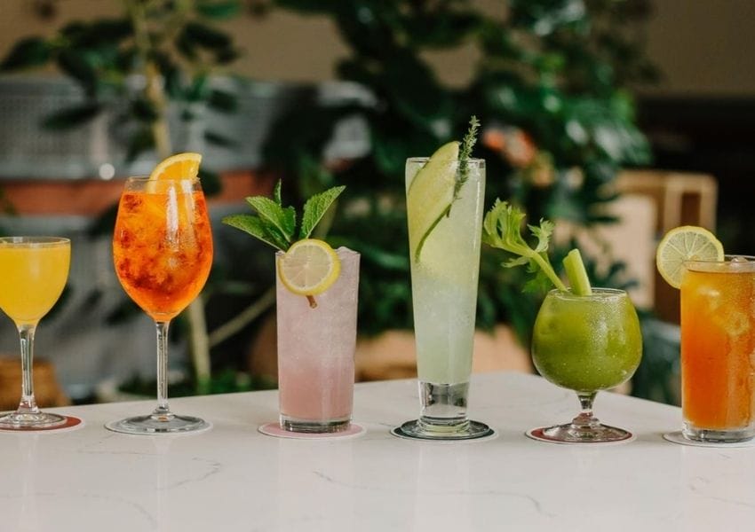 Best Places to Grab a mocktail in Tampa Bay