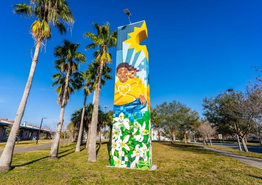 minority owned businesses in tampa bay