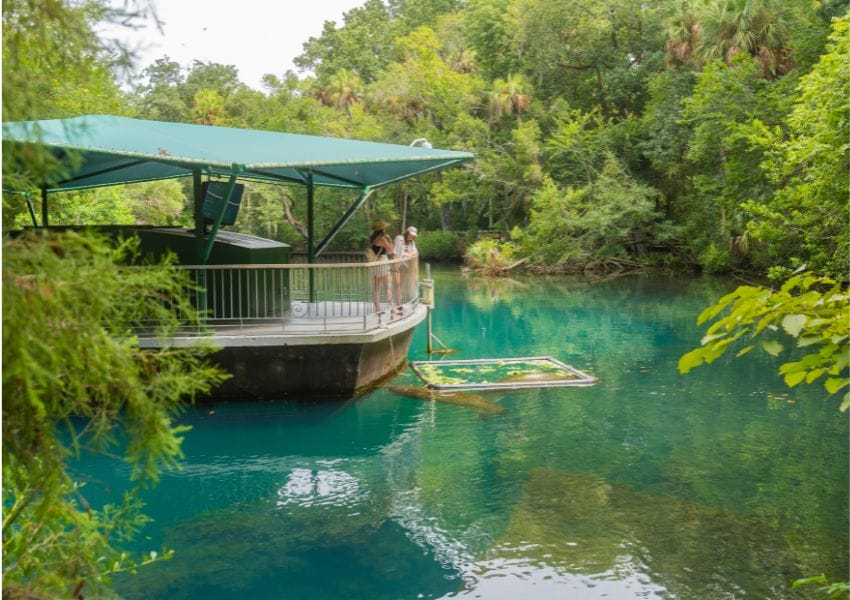 Day trips from Tampa - Crystal River