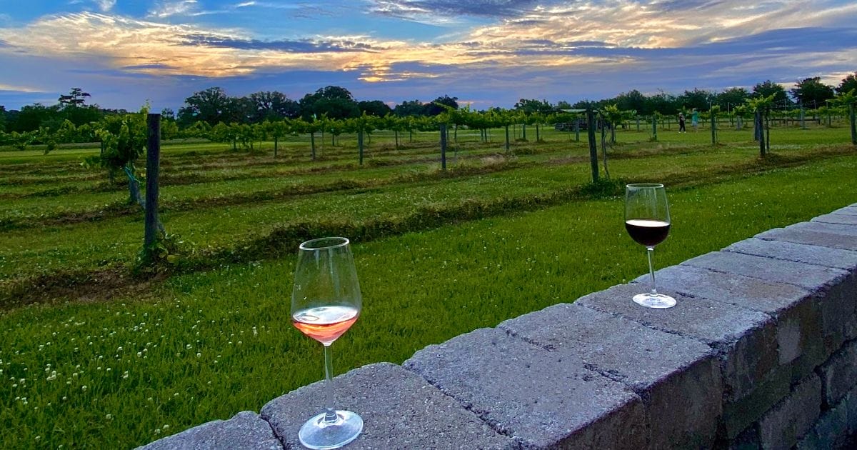 5 Best Wineries Near Jacksonville UNATION