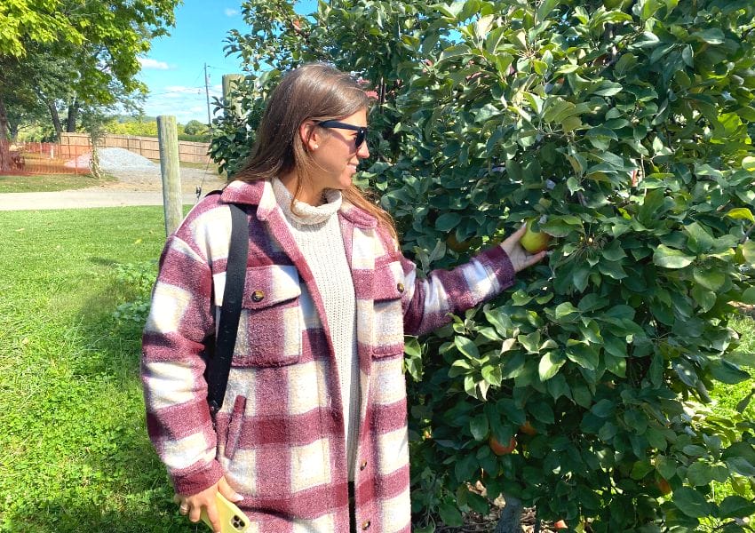 The Best Places to Go Apple Picking in Pittsburgh! UNATION
