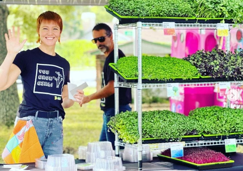 markets in Tampa Bay