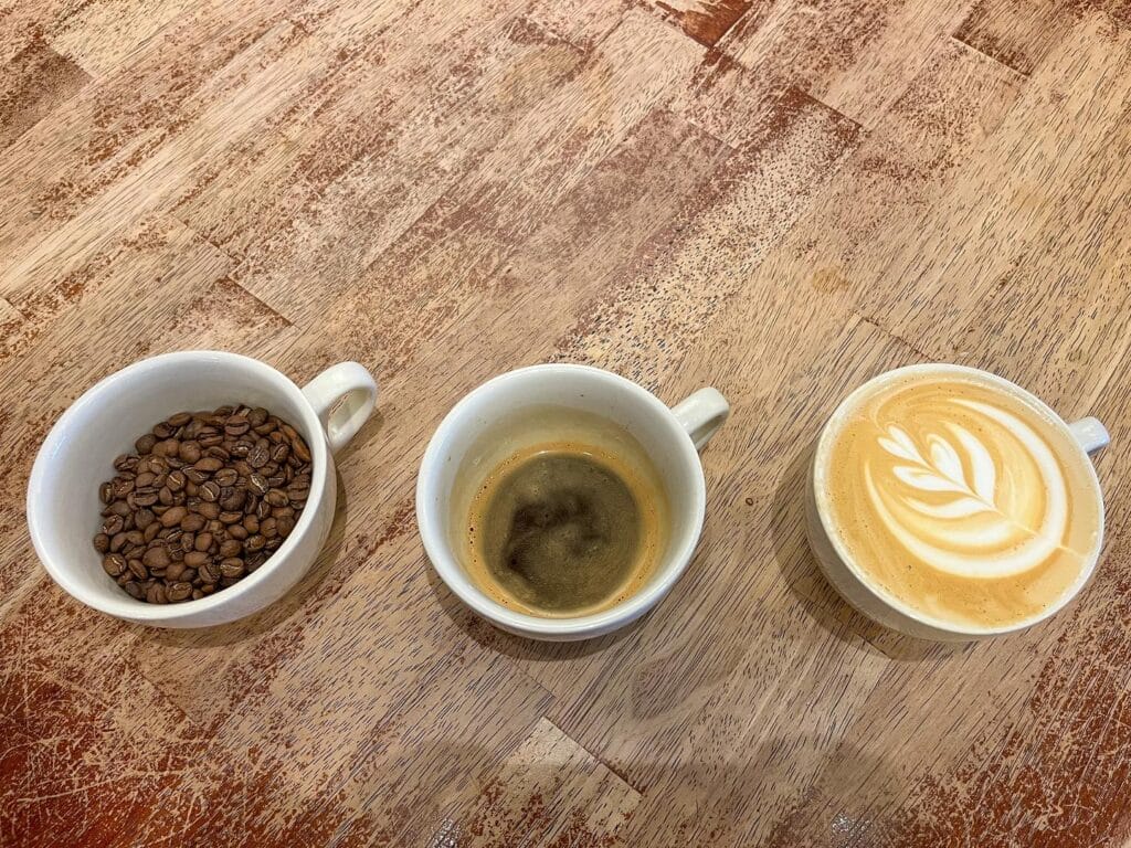 5 BEST Coffee Shops in Jacksonville to Work From I UNATION