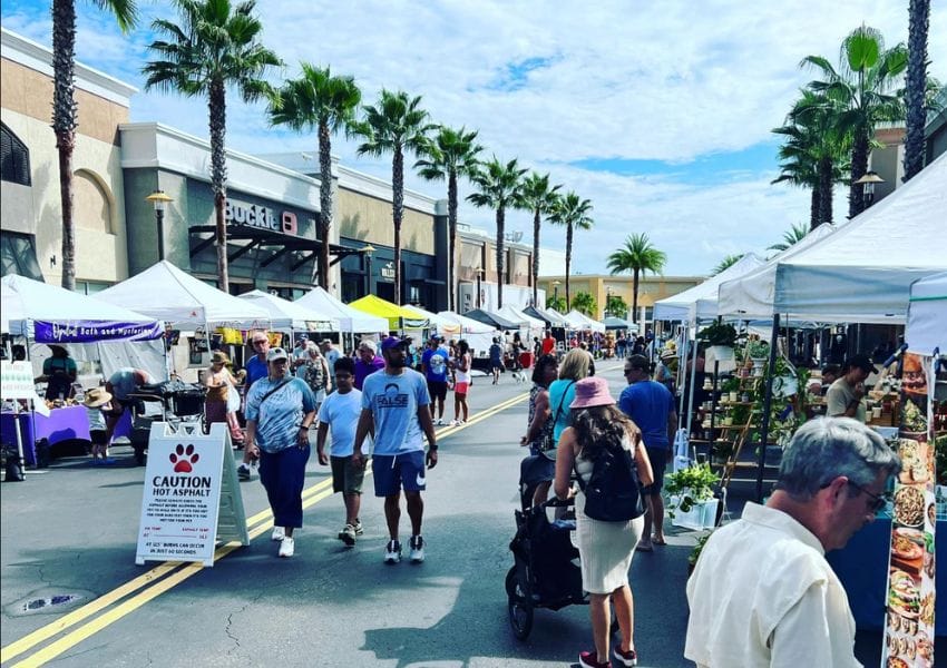 markets in Tampa Bay