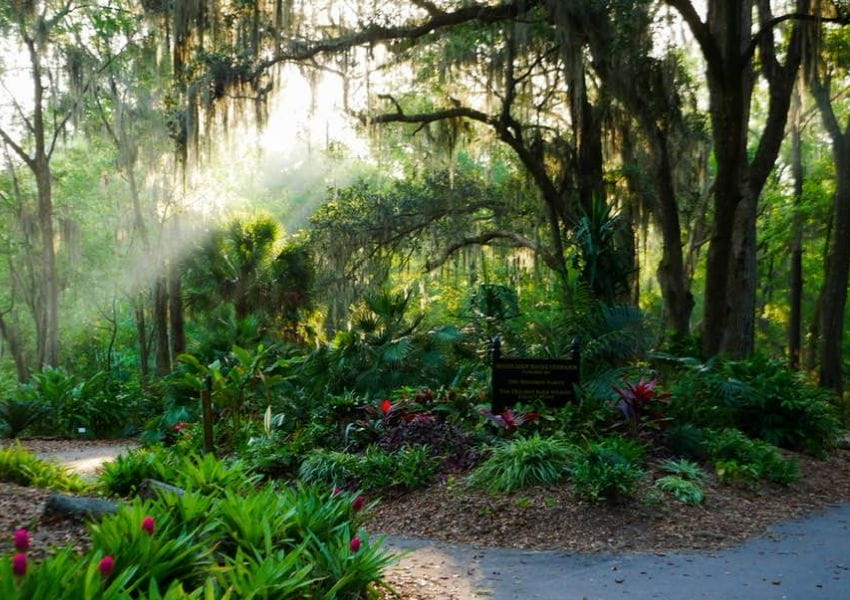 5 Best Hiking Trails in Jacksonville