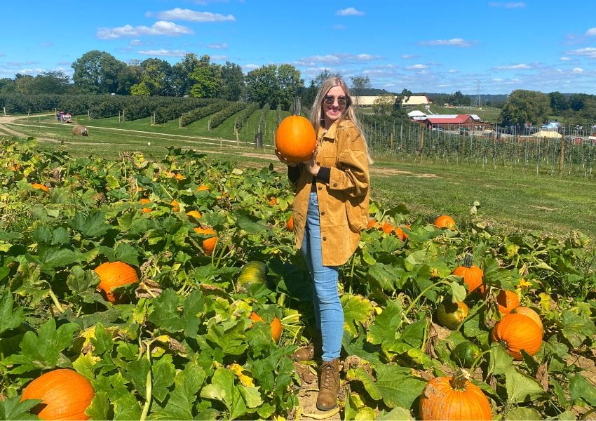 Celebrate Fall At Triple B Farms In Pittsburgh | Unation