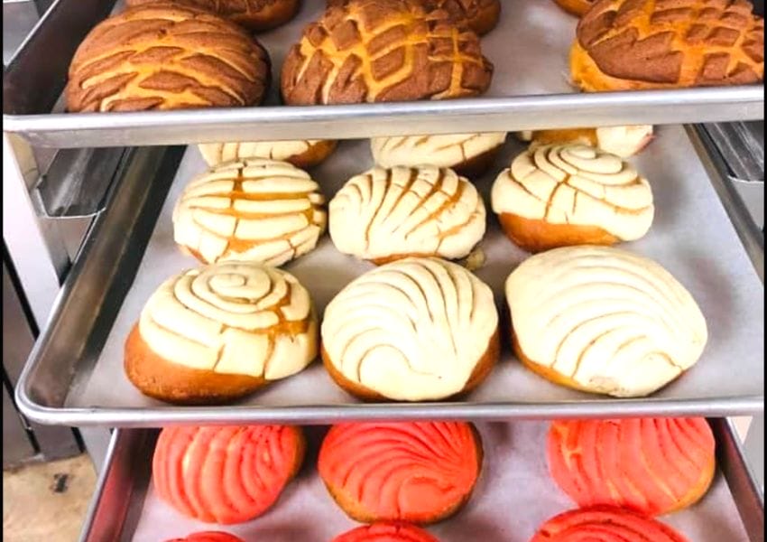 TOP 10 BEST Pan Dulce Recommended by Yelpers near Live Oak, TX