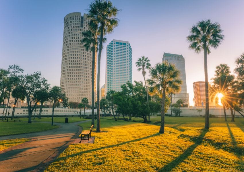 things to do in tampa bay