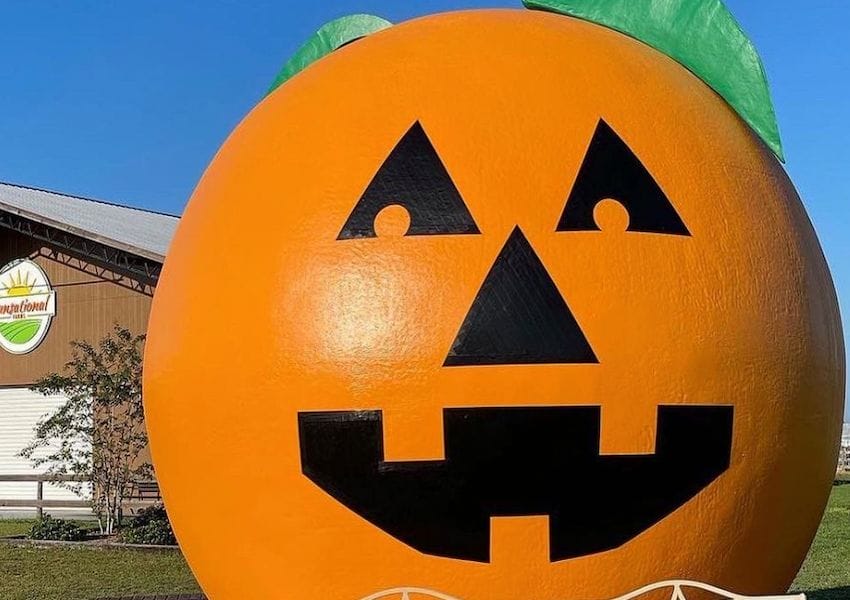 Pumpkin carving, reggae festival among Halloween festivities this