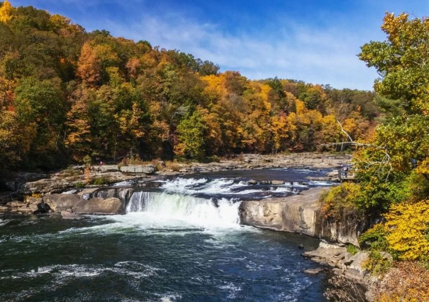 Fall Foliage Laurel Highlands