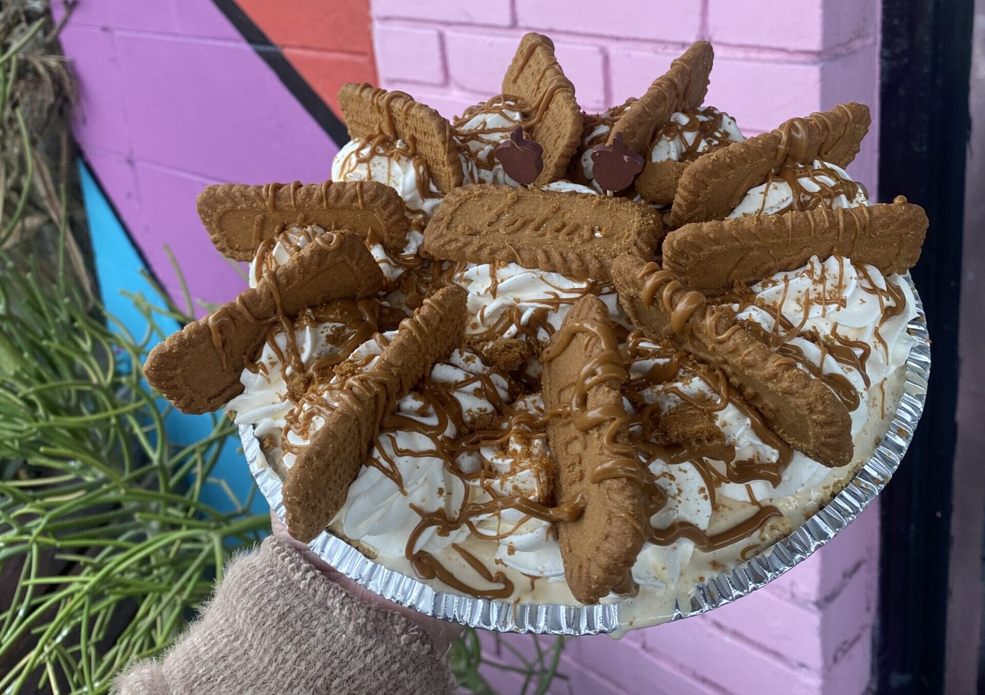 Foodie-Approved Spots to Get the Best Pies in Tampa Bay