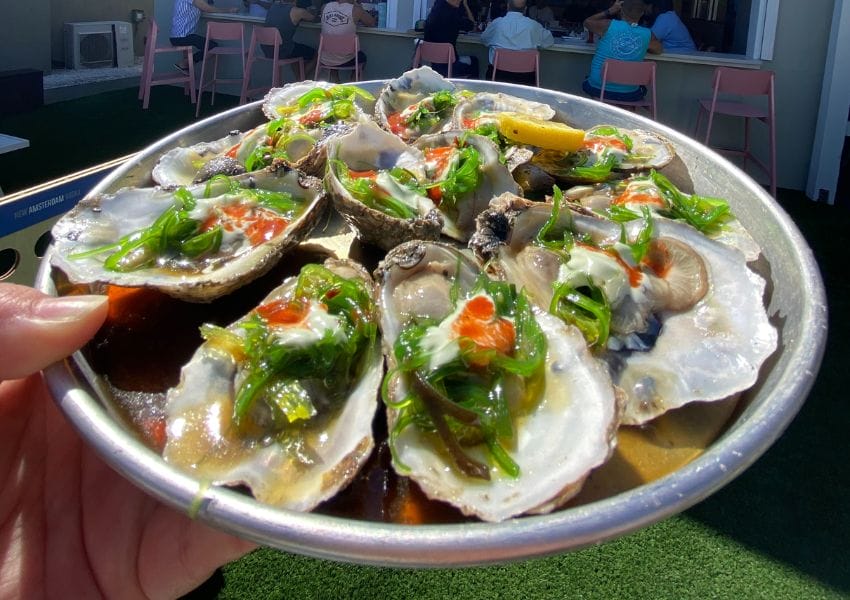 Best Oysters in Jacksonville