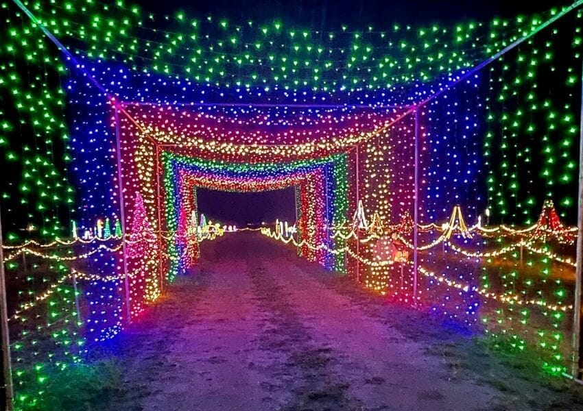 holiday lights in Jacksonville