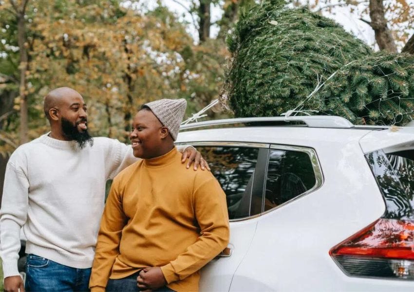 Where to Find a Fresh Christmas Tree