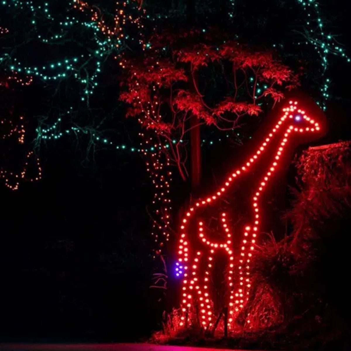 ‘Tis the Season 2022 Holiday Events in Pittsburgh UNATION