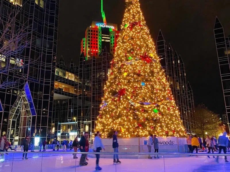 Ice store skating ppg