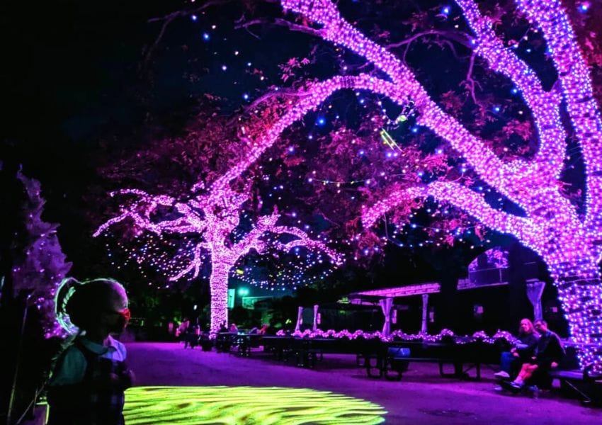 Magical Holiday Lights in San Antonio You Need To Experience