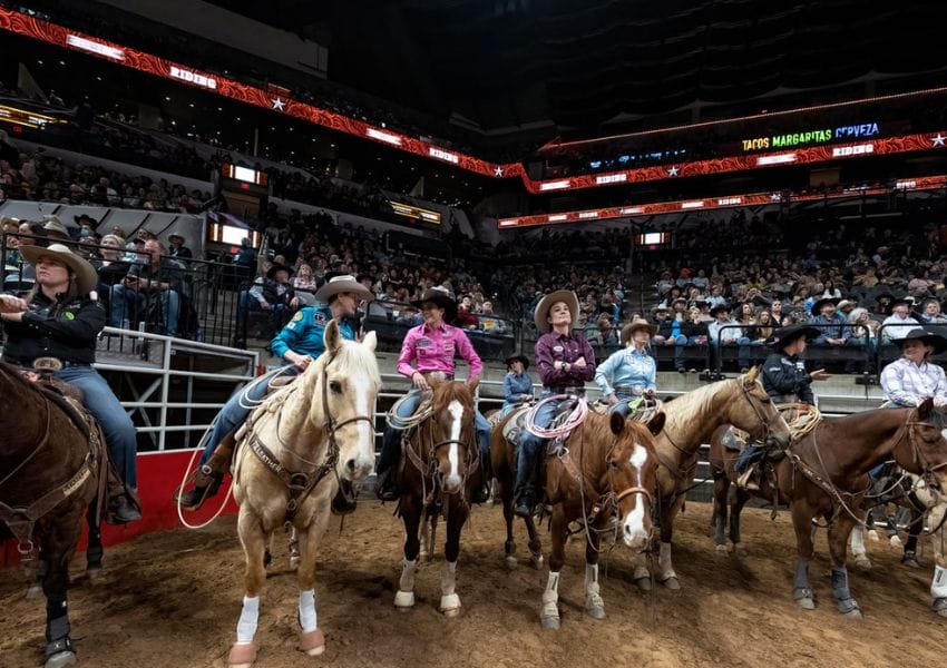 Alternative Bags Ideal For Stadium Rodeo Season - Cowboys and