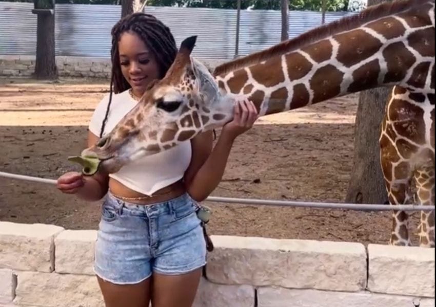 The Top Places to Spend Spring Break in Houston, TX