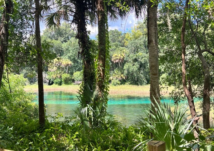 orlando summer road trip