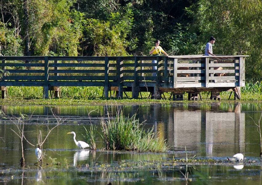 brazos bend day trips from houston