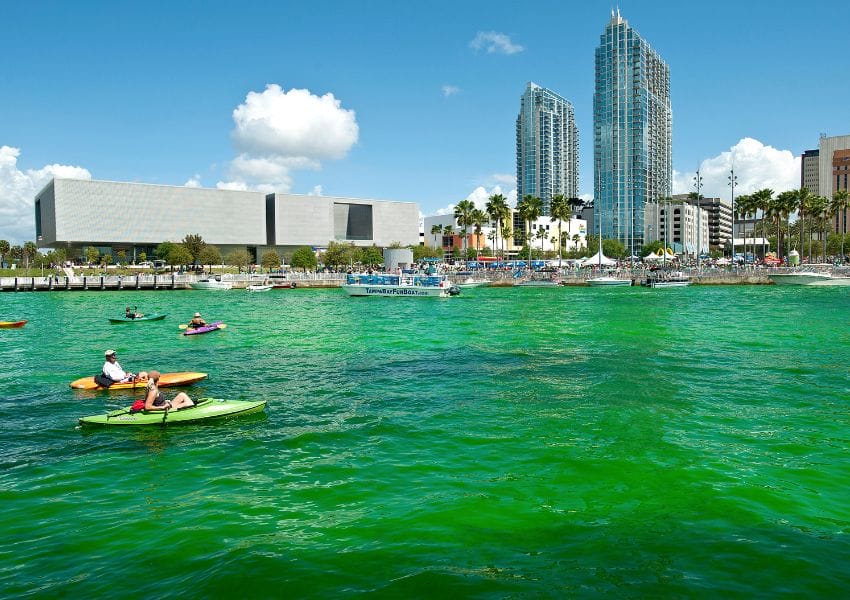 Tampa is a top city to celebrate St. Patrick's Day - That's So Tampa