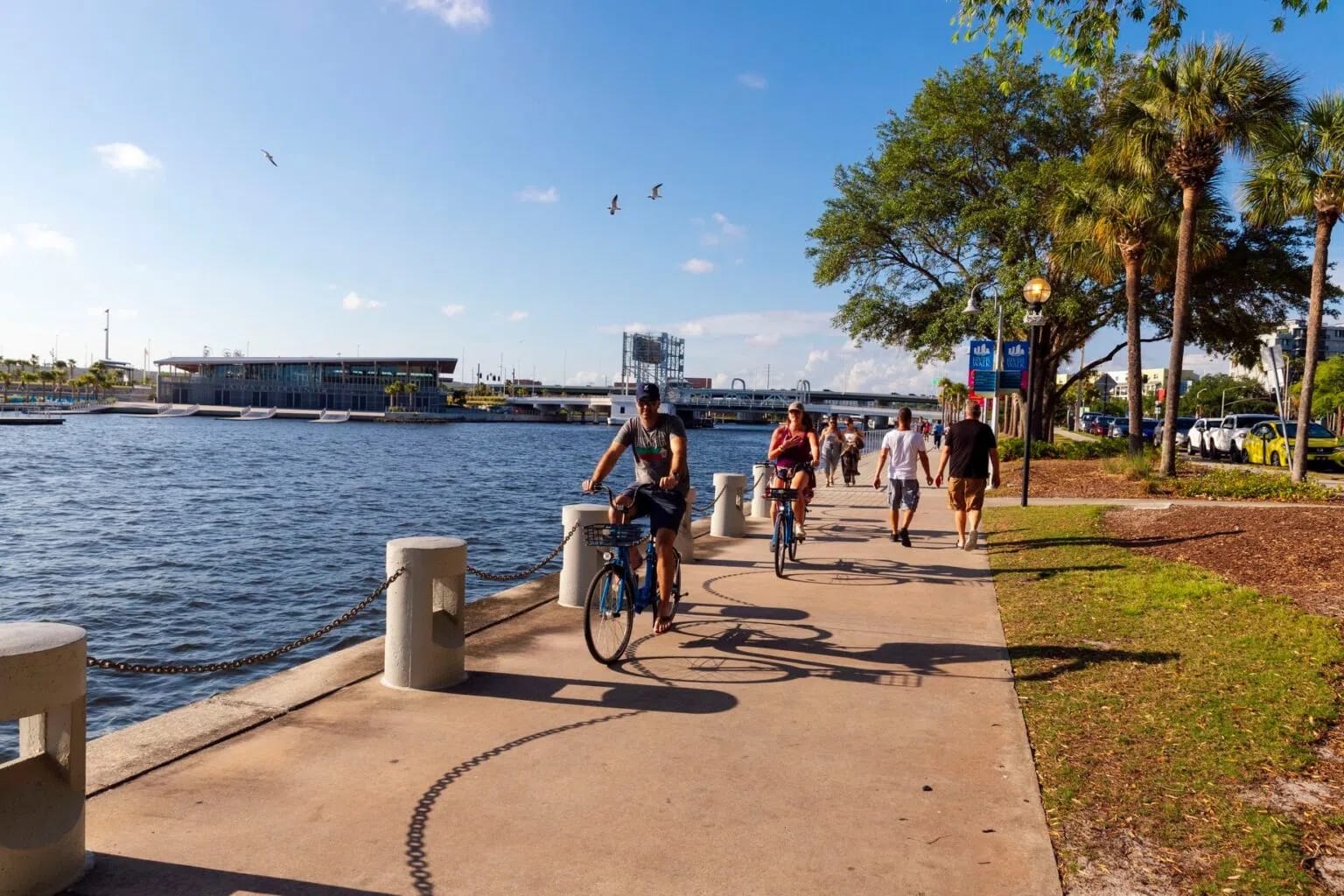 Top Bike Trails in Tampa Bay You Need to Try