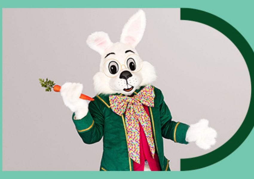 North Star Mall Bunny